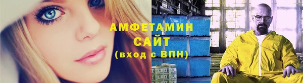 молекула духа Бородино