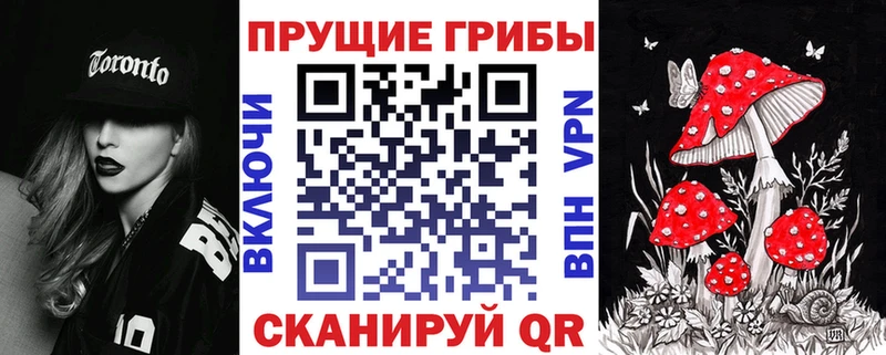 blacksprut рабочий сайт  дарнет шоп  Болотное  площадка какой сайт  Галлюциногенные грибы мицелий 